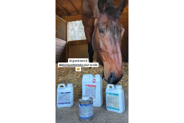 Maxime Goutailler, Team Arbalou Soins