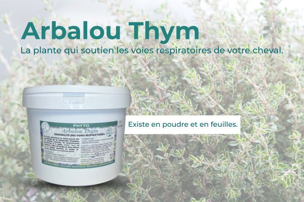 Arbalou Thym Cheval – Le soutien naturel des voies respiratoires de votre équidé.