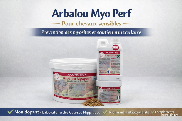 Prévenir la myosite et soutenir les chevaux sensibles avec Arbalou Myo Perf