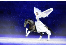 Alizée Froment team Arbalou Soins.