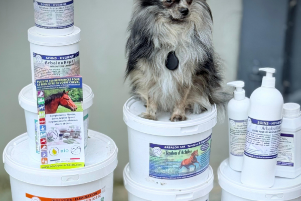 Poulinière sans lait : que faire pour augmenter la lactation naturellement ?