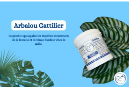 Découvrez Arbalou gattilier pour chien et chat