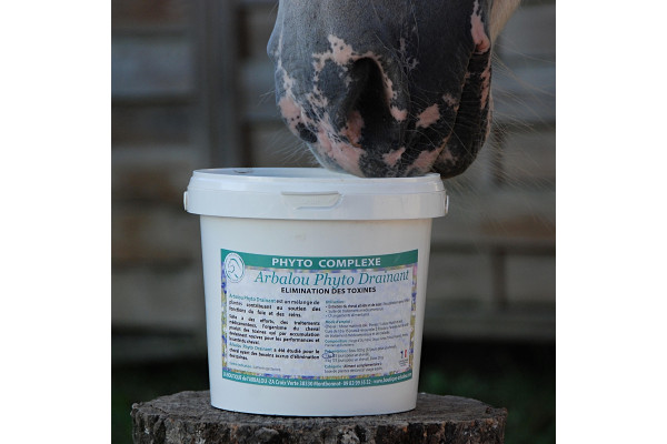 Drainants pour chevaux : pourquoi, quand et pour quels chevaux ?