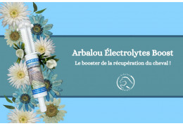 Découvrez l'électrolyte en seringue pour le bien-être de votre cheval.