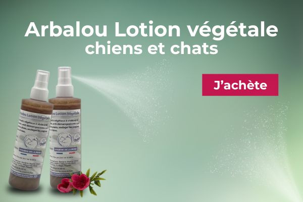 Démangeaisons, irritations, blessures... Lotion naturelle et douce pour vos chiens et chats. Démangeaisons, irritations, blessures... Lotion naturelle et douce pour vos chiens et chats.